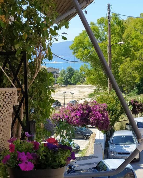Xenofon'S Cozy Apartment Corfu  Exterior photo